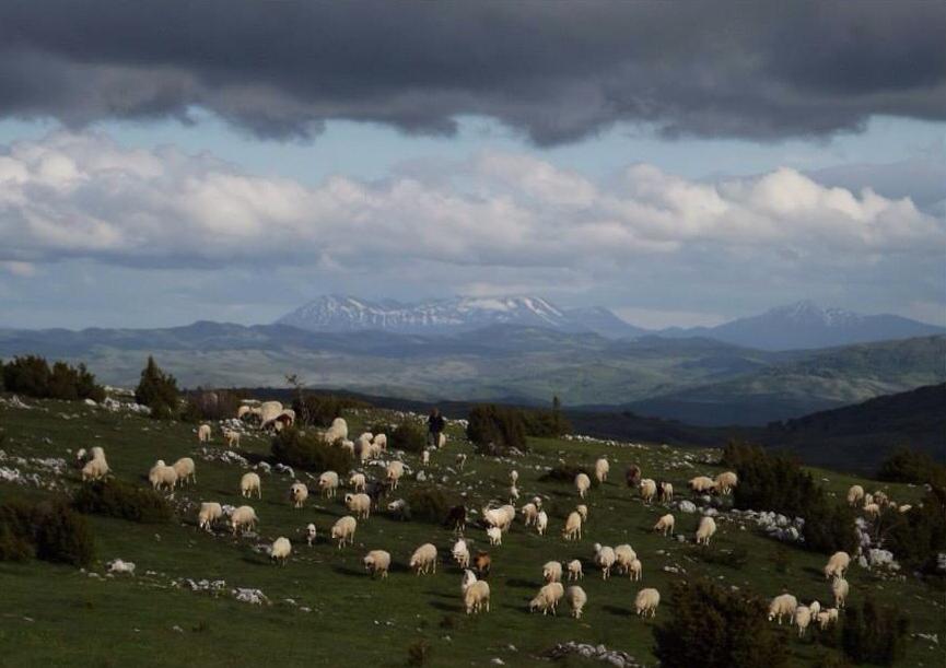 Pešterska idila